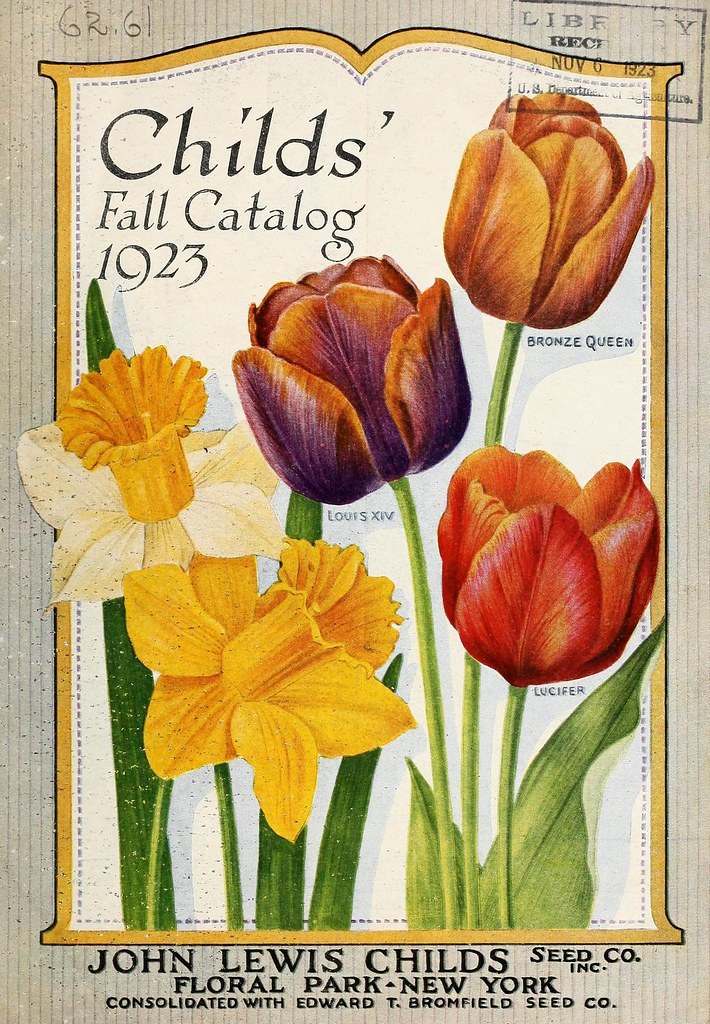 Photo of vintage catalog cover, vintage antique flower catalog. 